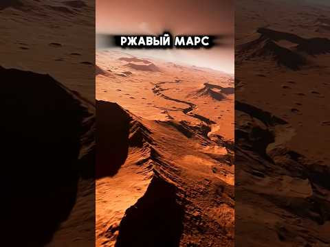Ржавый сосед