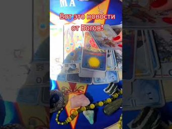 Ого! вот это новости 
