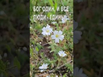Бог - один, и все люди - едины! (114)