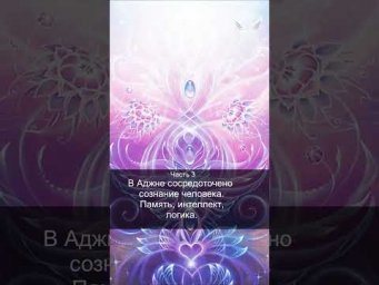 Чакры человека. Аджна. Часть 3. Центр управления. 41/53