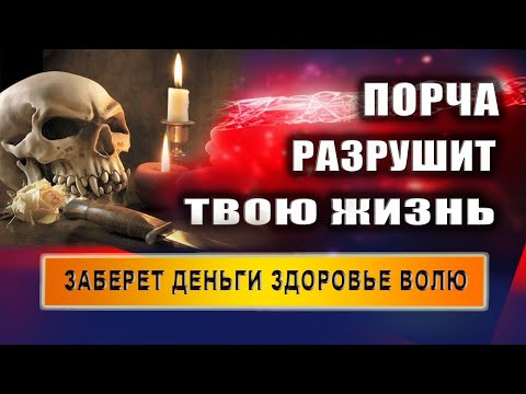 Порчи уничтожают людей! Как выжить в жестоком мире, где ты корм? |  Евгений Грин