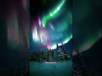 Красивый романтичный отдых. Релакс #ИИ #красивый #позитивный #релакс #приятный #чудесный #вид #цветы