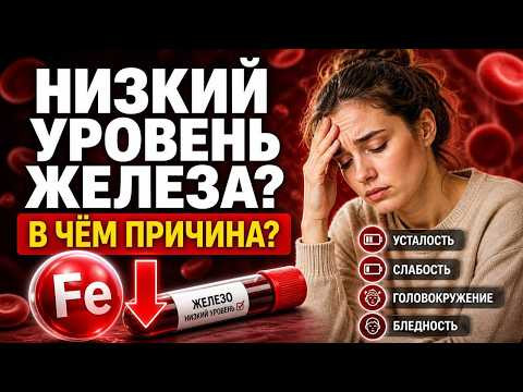 ‼️ Низкое железо, выпадают волосы и нет сил? Почему ферритин и гемоглобин не поднимаются. ‼️ Низкое железо, выпадают волосы и нет сил? Почему ферритин и гемоглобин не поднимаются.