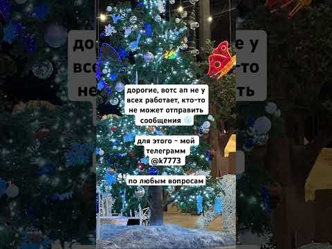31 декабря 2025 г.
