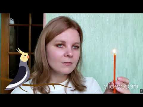 Воробушек-Долгое погружение во тьму.