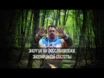 Энергия на восстановление эндокринной системы