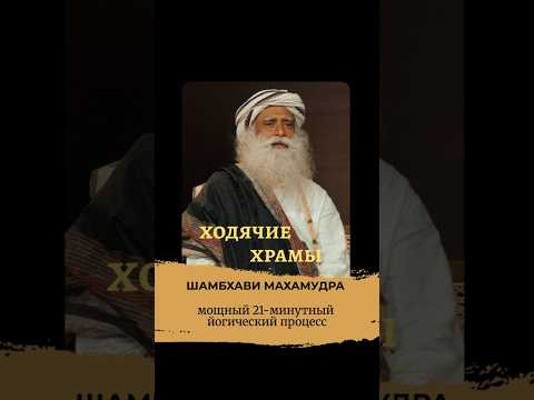 Живой храм: новое измерение вашего существования