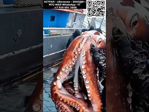 Невероятная рыбалка. Ужасные морские монстры. Невероятное #невероятное #чудо #необычный #фантастика
