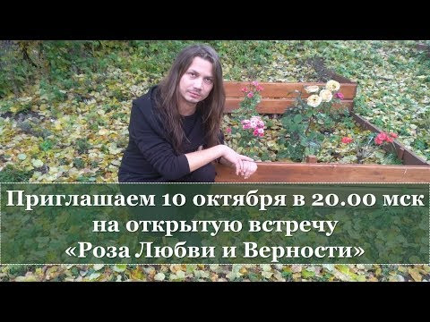 "Роза Любви и Верности". Приглашаем 10 октября на открытую встречу "Роза Любви и Верности". Приглашаем 10 октября на открытую встречу