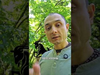 Кому из знаков повезет с Июня.