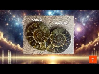 КАК ВОЙТИ В ХРОНИКИ АКАШИ. Древний артефакт.