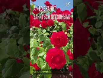 А что значит "заняться духовным"? (74)