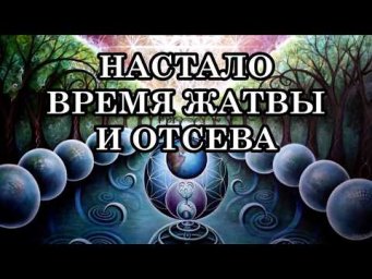 НАСТАЛО ВРЕМЯ ЖАТВЫ И ОТСЕВА. БЛИЖАЙШЕЕ БУДУЩЕЕ ЧЕЛОВЕЧЕСТВА И ПЛАНЕТЫ