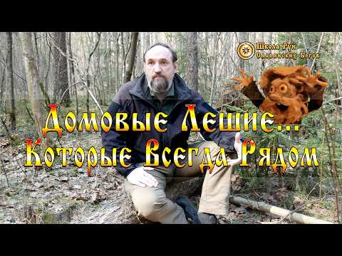 Домовые Лешие и Другие Существа Которые Всегда Рядом. [Ведзнич]