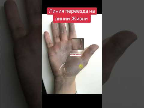 Линия переезда и линии жизни