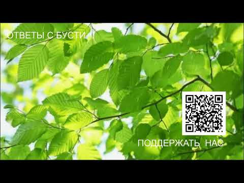 Ответы с бусти