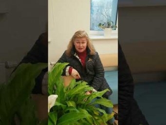 Весеннее равноденствие