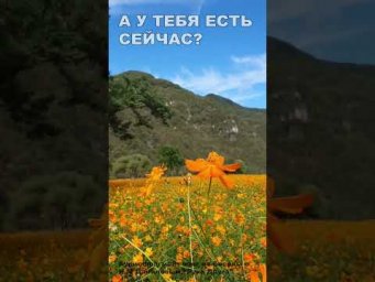 А у тебя есть сейчас? (17)