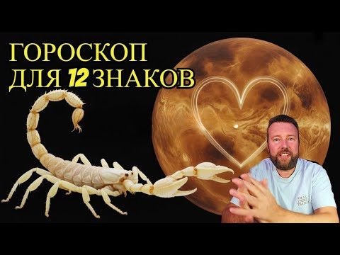 ВЕНЕРА В СКОРПИОНЕ С 26 НОЯБРЯ - СТРАСТЬ И НОВЫЕ ОТНОШЕНИЯ. КОГО ЖДЕТ ЛЮБОВЬ? ВЕНЕРА В СКОРПИОНЕ С 26 НОЯБРЯ - СТРАСТЬ И НОВЫЕ ОТНОШЕНИЯ. КОГО ЖДЕТ ЛЮБОВЬ?