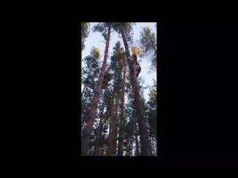 Ответы на вопросы: выпуск 170
