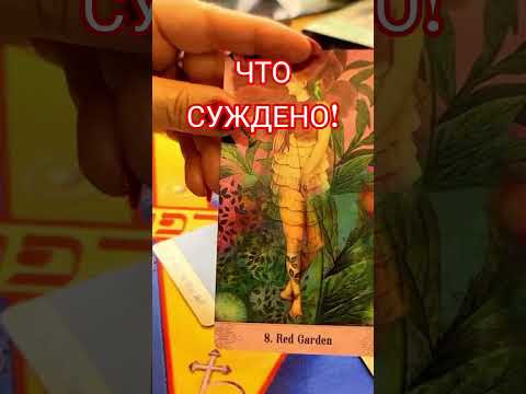 Что СУЖДЕНО! #анжеламанвелян #таро #гадание #tarot
