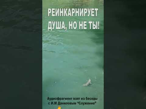 Реинкарнирует душа, но не ты! (178) Реинкарнирует душа, но не ты! (178)
