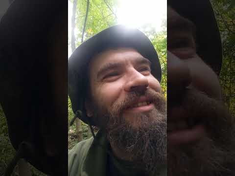 Казимир-Замануха.