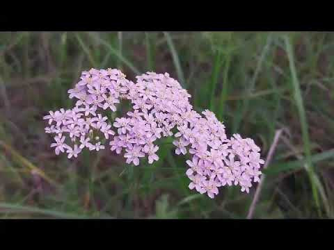 Ответы на вопросы: выпуск 184