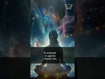 Атмическое тело. 28/43