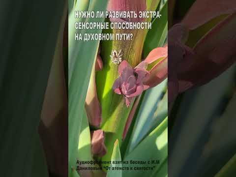 Нужно ли развивать экстрасенсорные способности на духовном пути? (60) Нужно ли развивать экстрасенсорные способности на духовном пути? (60)