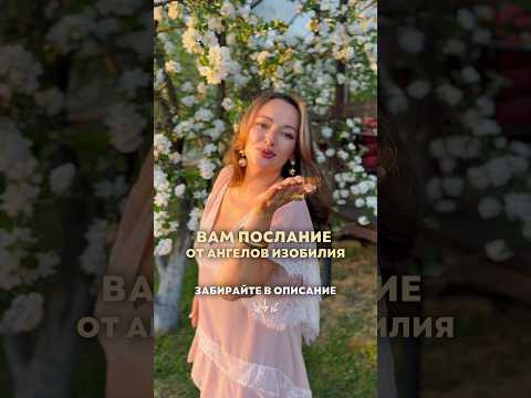 photo photo
