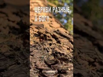 Церкви разные, а Бог? (186)