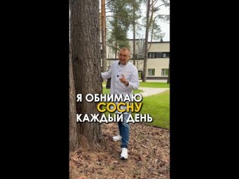 Каждое утро я семь минут обнимаю сосну. Коллеги думают, что я двинулся.