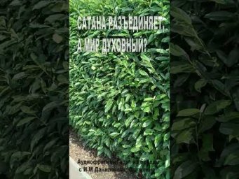 Сатана разъединяет, а мир Духовный? (189)