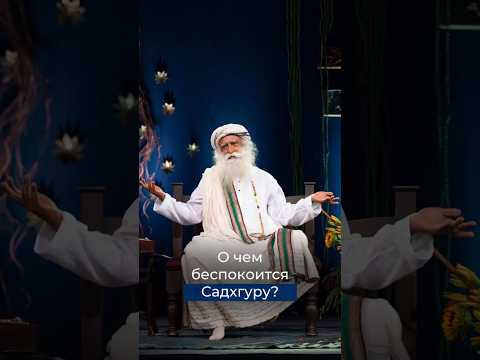 О чем беспокоится Садхгуру?