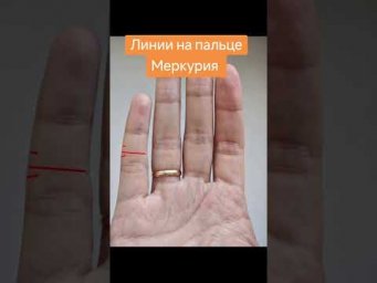 Линии на пальце Меркурия