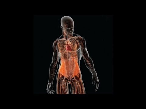 Осознанные сны как психологическая помощь. Курс Радуги 70/72