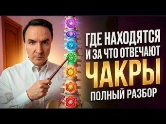 Чакры. Расположение чакр. За что отвечают чакры? | Евгений Грин