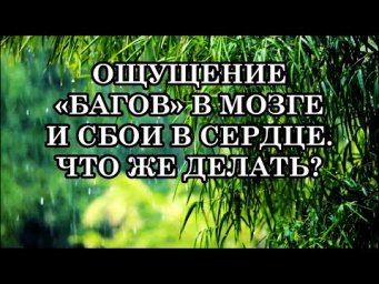 ОЩУЩЕНИЕ &laquo;БАГОВ&raquo; В МОЗГЕ И СБОИ В СЕРДЦЕ. ЧТО ПРОИСХОДИТ? КАКИЕ СИМПТОМЫ У ВАС? ЧТО ЖЕ ДЕЛАТЬ?
