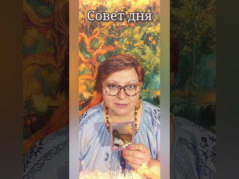 Карта дня: найди свою опору и укоренись в настоящем моменте. #таро #эзотерика #вера_живина