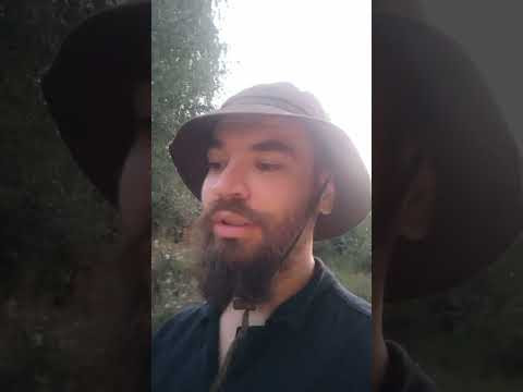 Казимир-Медитация в шумном пространстве.