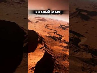 Ржавый сосед
