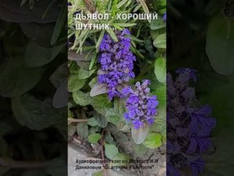 Дьявол - хороший шутник... (27)