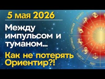 5 мая: между импульсом и туманом. Как не потерять ориентир