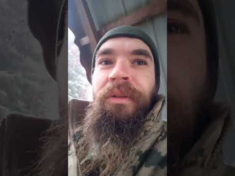 Казимир-Холодный огонь.