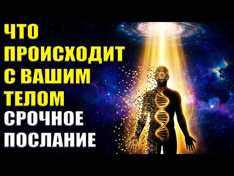 Ваше тело меняет структуру. Срочное послание Ваше тело меняет структуру. Срочное послание